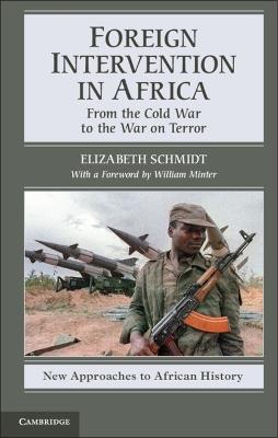 Foreign Intervention in Africa: From the Cold War to the War on Terror - Elizabeth Schmidt - cover