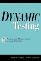 Dynamic Testing: The Nature and Measurement of Learning Potential - Robert J. Sternberg,Elena L. Grigorenko - cover