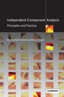 Independent Component Analysis: Principles and Practice