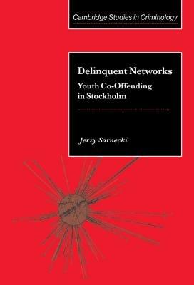 Delinquent Networks: Youth Co-Offending in Stockholm - Jerzy Sarnecki - cover