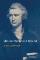 Edmund Burke and Ireland: Aesthetics, Politics and the Colonial Sublime - Luke Gibbons - cover