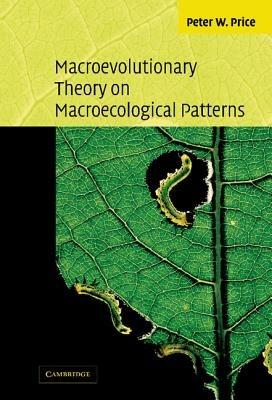 Macroevolutionary Theory on Macroecological Patterns - Peter W. Price - cover