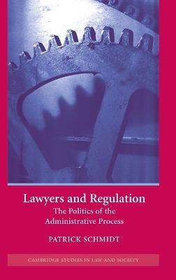 Lawyers and Regulation: The Politics of the Administrative Process - Patrick Schmidt - cover