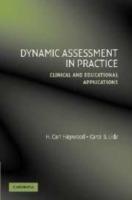 Dynamic Assessment in Practice: Clinical and Educational Applications