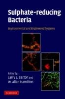 Sulphate-Reducing Bacteria: Environmental and Engineered Systems