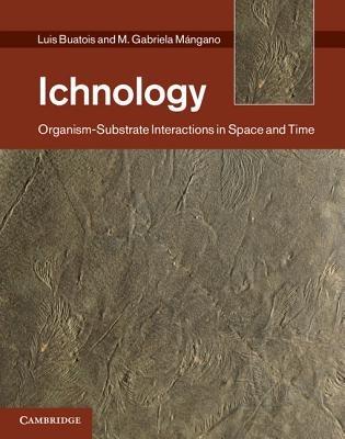 Ichnology: Organism-Substrate Interactions in Space and Time - Luis A. Buatois,M. Gabriela Mangano - cover