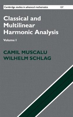 Classical and Multilinear Harmonic Analysis - Camil Muscalu,Wilhelm Schlag - cover