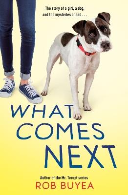 What Comes Next - Rob Buyea - cover
