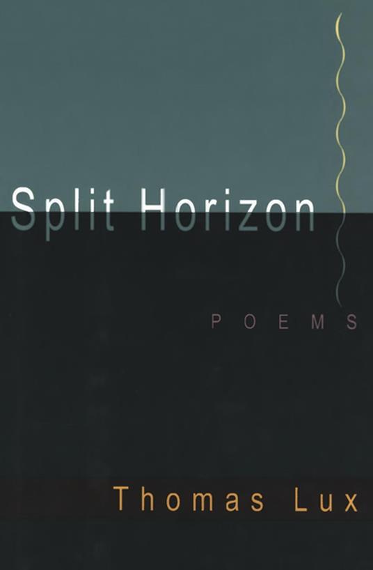 Split Horizon