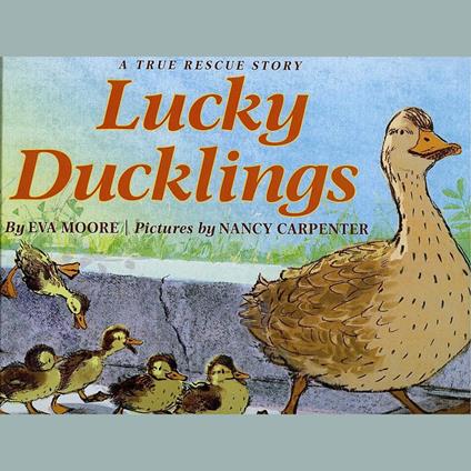 Lucky Ducklings