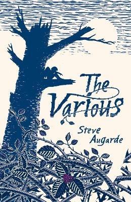 The Various: The Touchstone Trilogy - Steve Augarde - cover