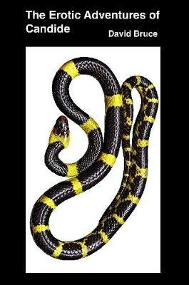 The Erotic Adventures of Candide - David Bruce - cover