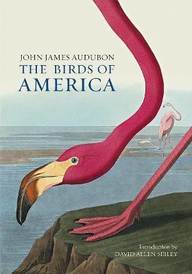 The Birds of America - John James Audubon - cover