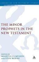 The Minor Prophets in the New Testament - cover