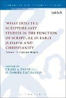 What Does the Scripture Say?' Studies in the Function of Scripture in Early Judaism and Christianity: Volume 1: The Synoptic Gospels - cover