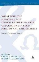 What Does the Scripture Say?' Studies in the Function of Scripture in Early Judaism and Christianity: Volume 1: The Synoptic Gospels - cover