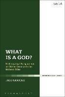 What is a God?: Philosophical Perspectives on Divine Essence in the Hebrew Bible - Jaco Gericke - cover