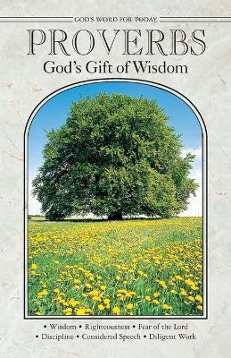 Proverbs Gods Gift of Wisdom: Gods WD for Toda - Julene Dumit - cover