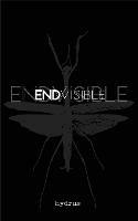 Endvisible