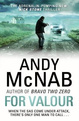 For Valour - Andy McNab - cover