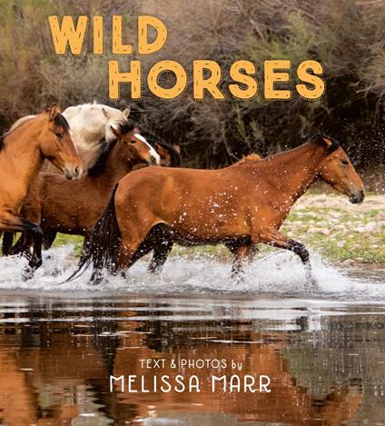 Wild Horses - Melissa Marr - ebook