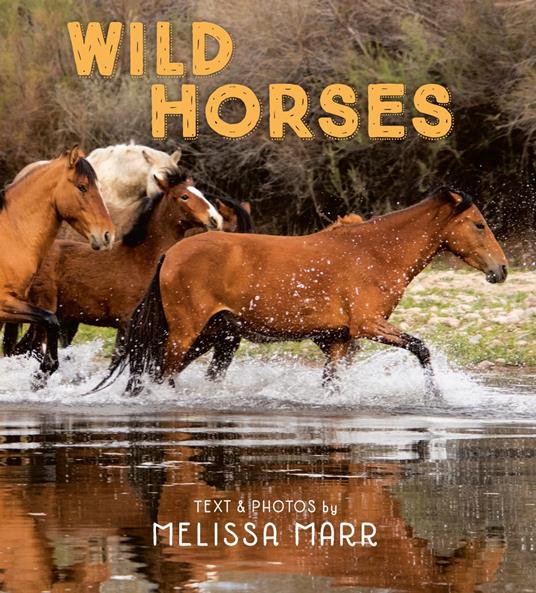 Wild Horses - Melissa Marr - ebook