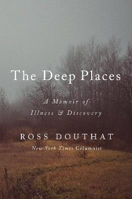 In a Dark Wood: My Five-Year War with a Disease that Doesn't Exist - Ross Douthat - cover
