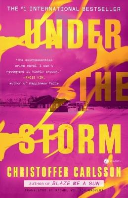 Under the Storm - Christoffer Carlsson,Rachel Willson-Broyles - cover