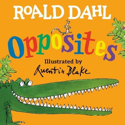 Roald Dahl Opposites - Roald Dahl - cover