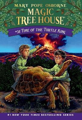 Time of the Turtle King - Mary Pope Osborne,AG Ford - cover