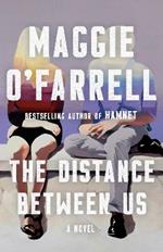 The Distance Between Us: A Novel