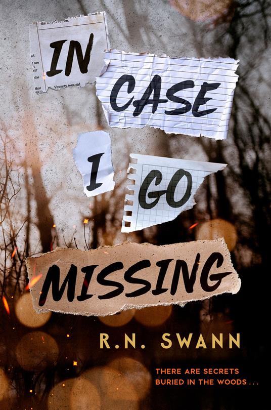 In Case I Go Missing - R. N. Swann - ebook