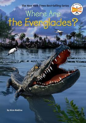 Where Are the Everglades? - Nico Medina,Who HQ - cover