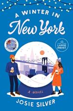 A Winter in New York: A Novel