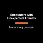 Encounters with Unexpected Animals