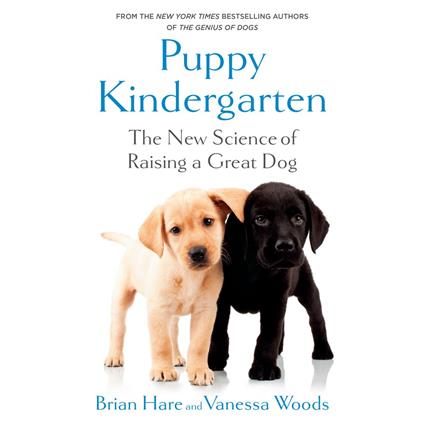 Puppy Kindergarten