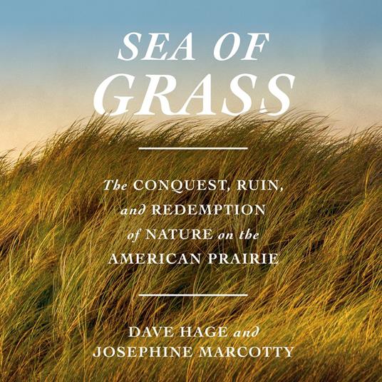 Sea of Grass