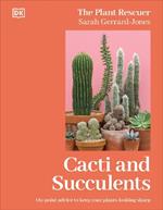 Cacti and Succulents: On-point Advice to Keep Your Plants Looking Sharp