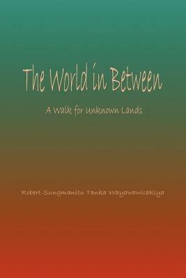 World in Between: A Walk for Unknown Lands - Robert Sungmanitu,Tanka Wayawawicakiya,Robert Wolf Teacher Melodia - cover