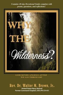 Why the Wilderness?: God Sends Angels After We Go Through! - Walter M Brown - cover