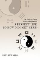 A Perfect Life: So How Did I Get Here?: For Profit or Cure: Chronicling Rehab