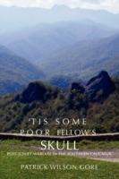 'Tis Some Poor Fellow's Skull: Post-Soviet Warfare in the Southern Caucasus - Patrick Wilson Gore - cover