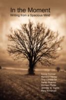In the Moment - Writing from a Spacious Mind - Mary Schanuel,Sylvia Duncan,Richard Fischer - cover