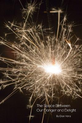 The Space Between Our Danger And Delight - Dan Vera - cover