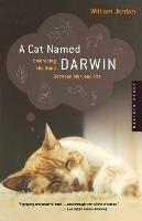 A Cat Named Darwin: Embracing the Bond between Man and Pet