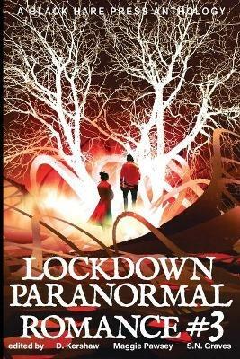 LOCKDOWN paranormal Romance #3 - cover