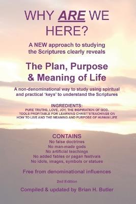 Why Are We Here?: A new approach to studying the Bible clearly reveals the purpose of life. - Brian H Butler - cover