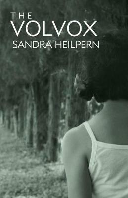 The Volvox - Sandra Heilpern - cover