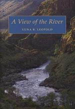 A View of the River