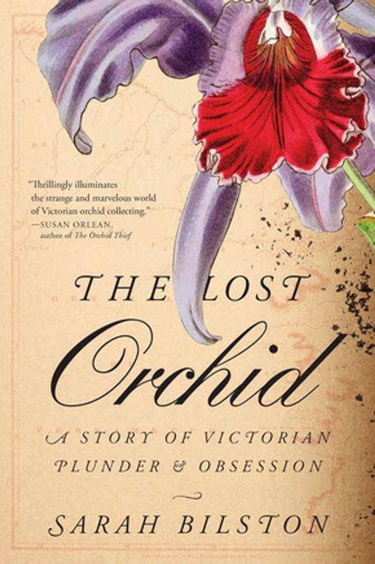 The Lost Orchid